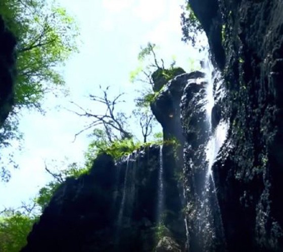 青山綠水，白龍江畔江畔息白鷺，兩岸綠橄欖入眼的都是純樸自然枝上花開(kāi)，春來(lái)水暖魚(yú)蝦戲水，鳥(niǎo)語(yǔ)花香心中充滿(mǎn)著舒暢之感祥宇生態(tài)產(chǎn)業(yè)園，位于隴南市武..